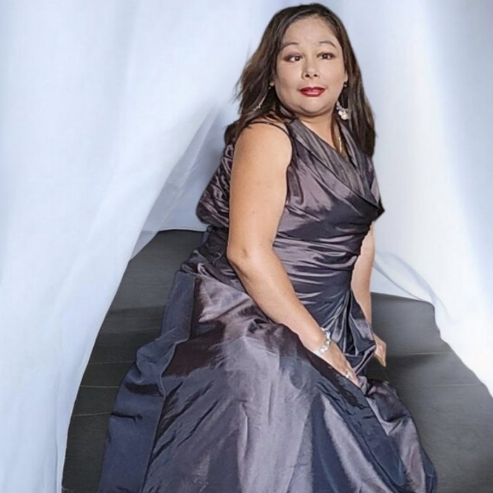 David's Bridal Long Iridescent Taffeta Mock Two-Piece Dress